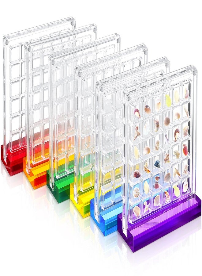 Reallnaive 6 Pcs Acrylic Magnetic Seashell Display Box with Multicolor Base 36 Grids Clear Seashell Collection Box Seashell Storage Organizer for Diamond Gemstone Beads - Image 1